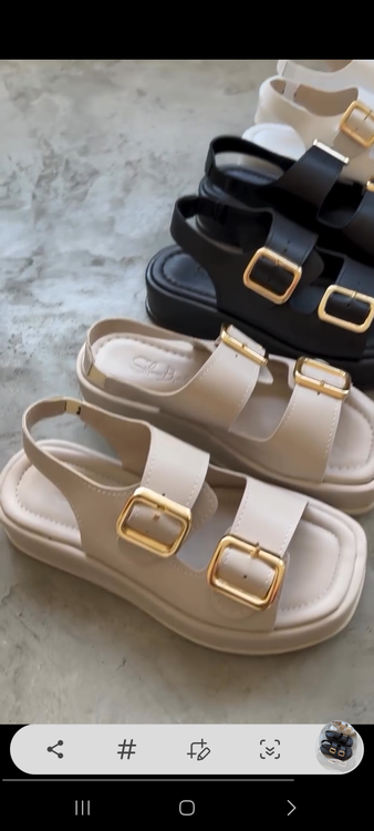 صندل پرطرفدار