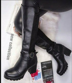 پوتین لژدار