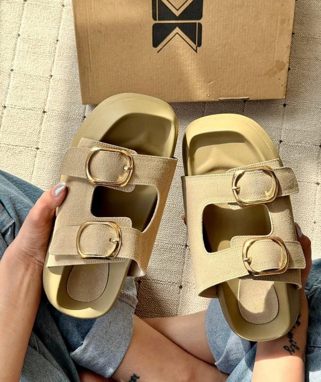 صندل سگکدار